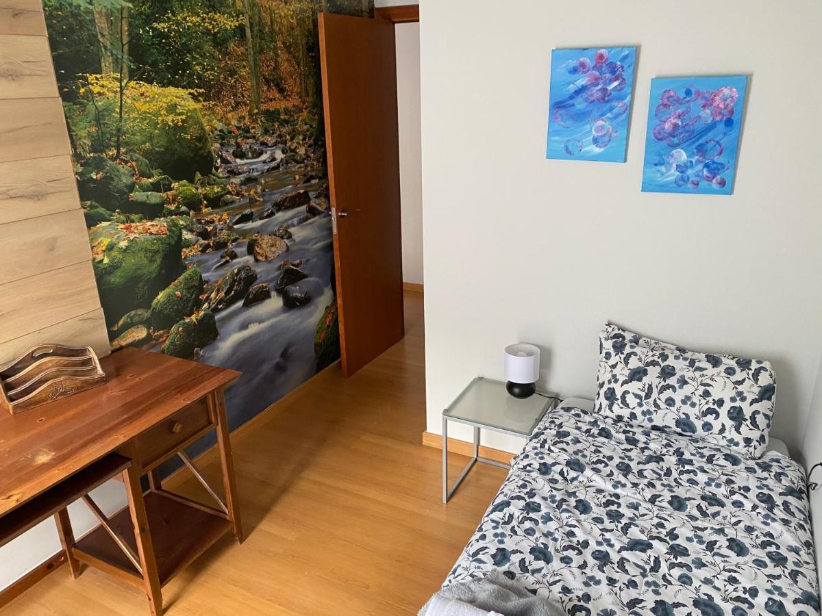 Duplex Roca Del Sucut Appartement Ribes De Freser Buitenkant foto